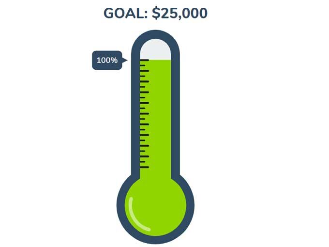 100% of our fundraising goal reached